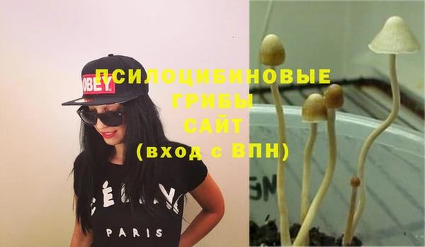 бошки Богородицк
