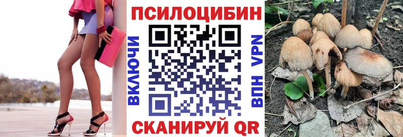 Псилоцибиновые грибы Cubensis  купить наркоту  Костомукша 